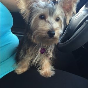 Meet your Posher, Danielle